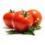 Tomate Redondo x Kilo