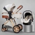 Bolina 3 em 1 - Kit Travel System composto por Moisés/carrinho de passeio e bebê conforto - comprar online