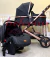 Belecoo Confort 3 em 1 - Moisés/carrinho e bebê conforto - Black/Gold - comprar online