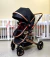 Belecoo Confort 3 em 1 - Moisés/carrinho e bebê conforto - Black/Gold - loja online