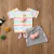 Conjunto Flamingos
