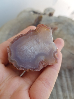 Geoda agata
