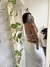 Vestido Recorte Off White - comprar online