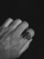 Anillo Terra en internet