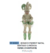 Boneco Pierrot Natal Sentado C/Musica (Verde Champanhe) 42,5cm (Florarte) na internet