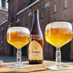 Cerveja Holandesa Escura La Trappe Quadruppel Garrafa 750ml na internet