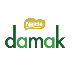 Nestle Damak Dragee 50g Pistache Coberto Com Chocolate - comprar online