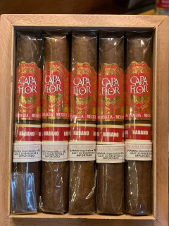 CAPA FLOR ROBUSTO HABANO - comprar online