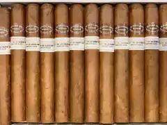 RAFAEL GONZALEZ - PETIT CORONA x 1 - comprar online