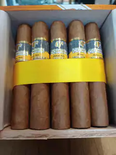 COHIBA ROBUSTO x 1 en internet