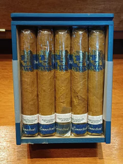 KUUTS - CONNECTICUT GORDO - comprar online