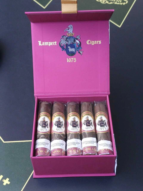 LAMPERT SHORT ROBUSTO (M) - comprar online