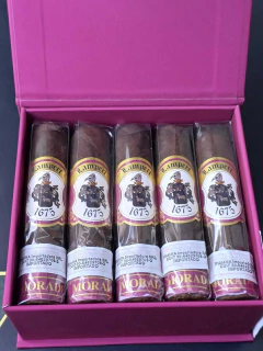 LAMPERT SHORT ROBUSTO (M) en internet