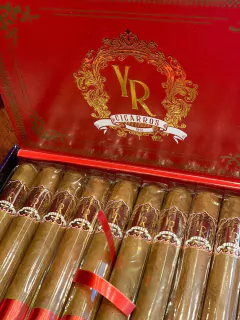 YR - LÍNEA FIESTA - GRAN TOROx20 - comprar online