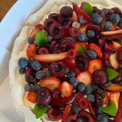 PAVLOVA CLÁSICA en internet