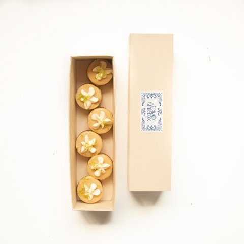 Key Lime Pie x6