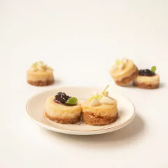 Mix Cheese Cake & Key Lime Pie en internet