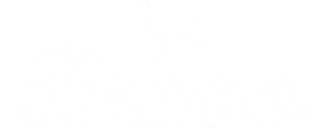 Bravo Jeans