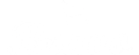 Bravo Jeans