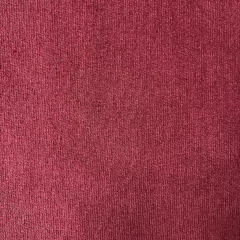 FRISA INVISIBLE en internet