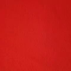 BENGALINA LISA - comprar online