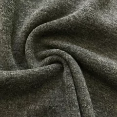 FRISA INVISIBLE en internet