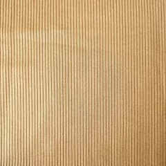 Imagen de MORLEY FOIL