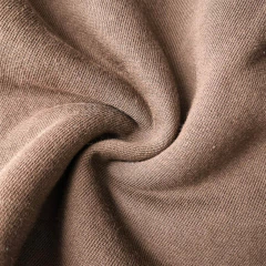 FRISA INVISIBLE en internet