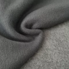 FRISA INVISIBLE en internet