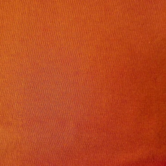 JERSEY 24/1 CON RIBB - tienda online