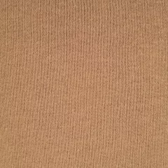 FRISA INVISIBLE en internet