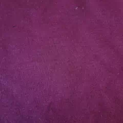 FRISA CORDERITO en internet