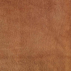 PLUSH BIFAZ en internet