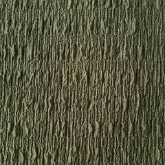 BAMBULA DE PUNTO en internet