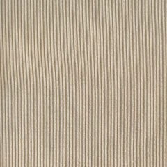 MORLEY VISCOSA BASTÓN FINO