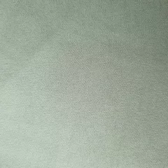 BENGALINA LISA en internet