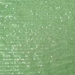 LENTEJUELAS MICROTUL