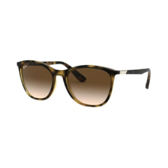 Ray Ban Novedad 4317 710/13 - comprar online