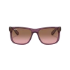 Ray-Ban Justin Clásico 4165 659514