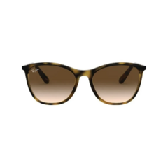 Ray Ban Novedad 4317 710/13