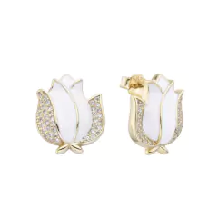 ARO1196 AROS PASANTES PLATA 925 en internet