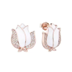 ARO1196 AROS PASANTES PLATA 925 - tienda online