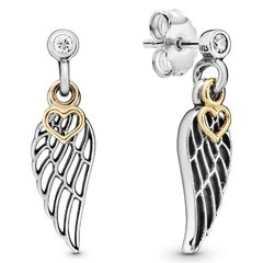 AR0037 AROS PASANTES PLATA 925