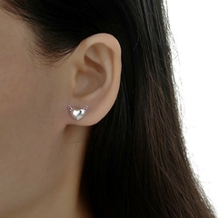 ARO1015 AROS PASANTES PLATA 925 - comprar online