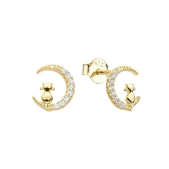 ARO1662 AROS PASANTES PLATA 925
