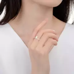 AN9759 ANILLO CON TALLA PLATA 925 - comprar online
