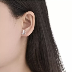 ARO2344 AROS PASANTES PLATA 925 - comprar online