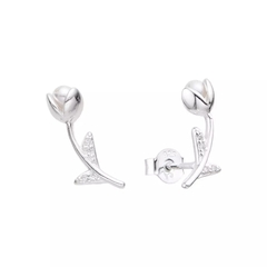 ARO2353 AROS PASANTES PLATA 925
