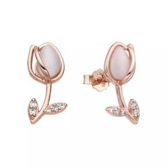 ARO2390 AROS PASANTES PLATA 925 - tienda online