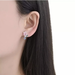 ARO2391 AROS PASANTES PLATA 925 - comprar online